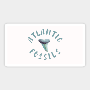 Light Blue Atlantic Fossils Shark Tooth White Print Sticker